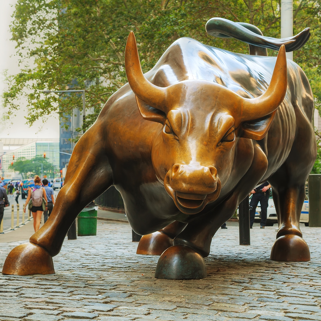 Charging Bull