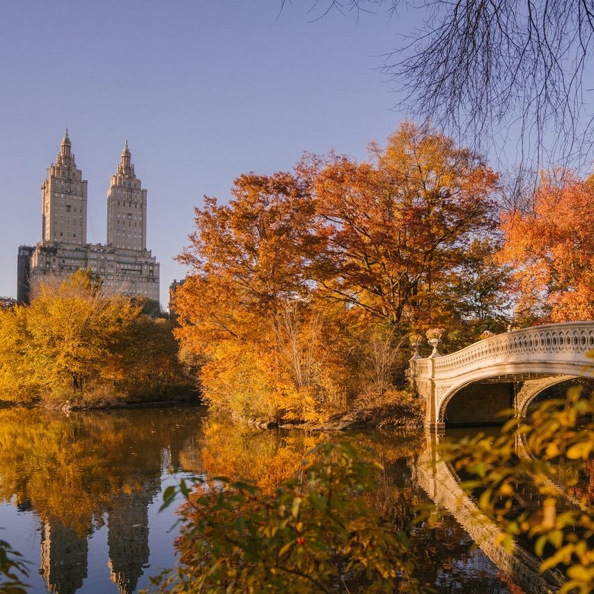 autumn landscape