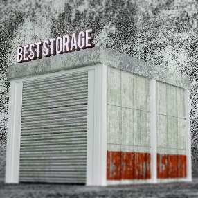 Art Storage Facility vs. Home Storage