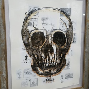 Skull