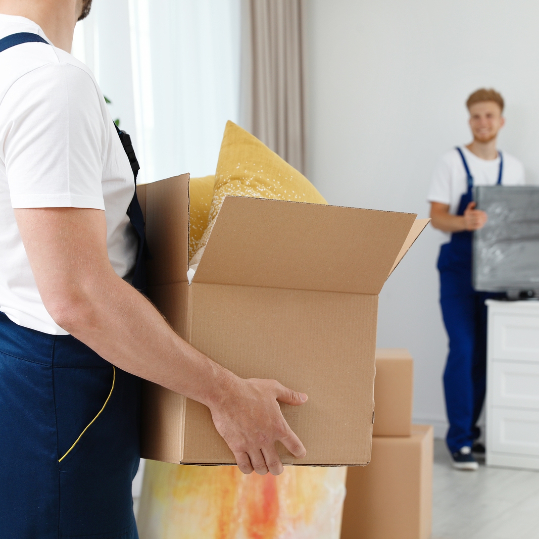 Best Moving Company New York to Florida