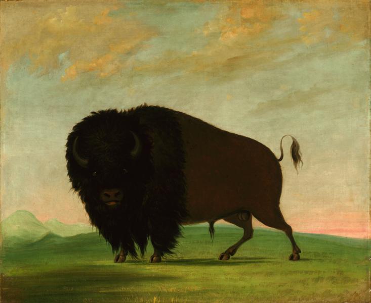 Top 5 Beautiful Artworks to Celebrate the Year of the Ox