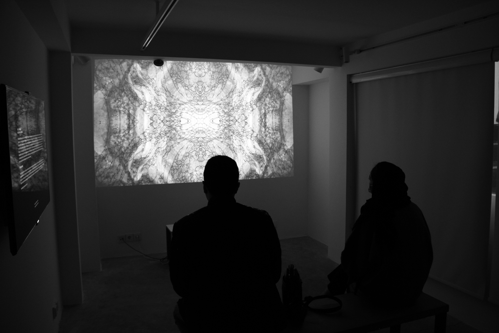 Merkabah’s Mysticism in Video Art by Mohammad Ali Famori