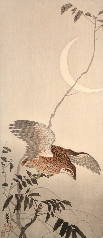 Koson Ohara’s Amazing Kacho-e Woodblock Prints at Ronin Gallery