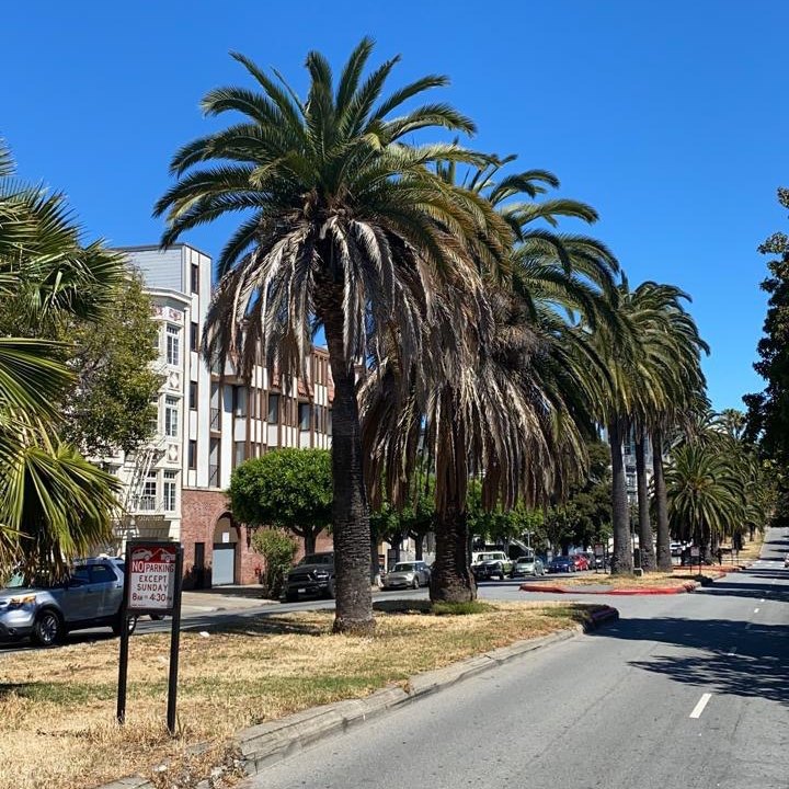 San Francisco