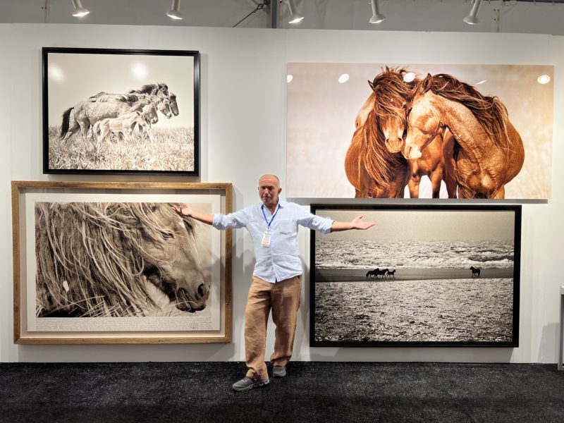 Roberto Dutesco. The Wild Horses of Sable Island