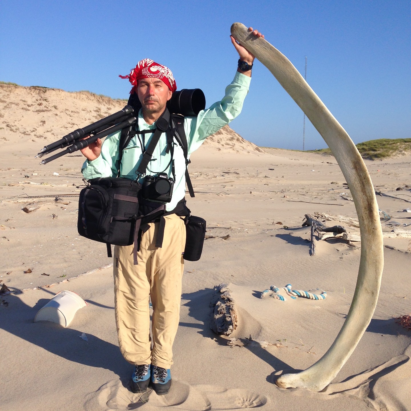 Roberto Dutesco on Sable Island