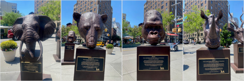 Faces of the Wild: New York Public Art by Gillie and Marc