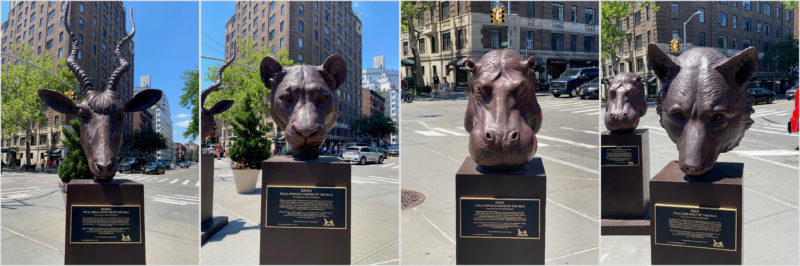 Faces of the Wild: New York Public Art by Gillie and Marc