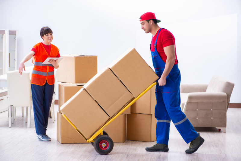 What to Look for in Professional Movers: Key Considerations