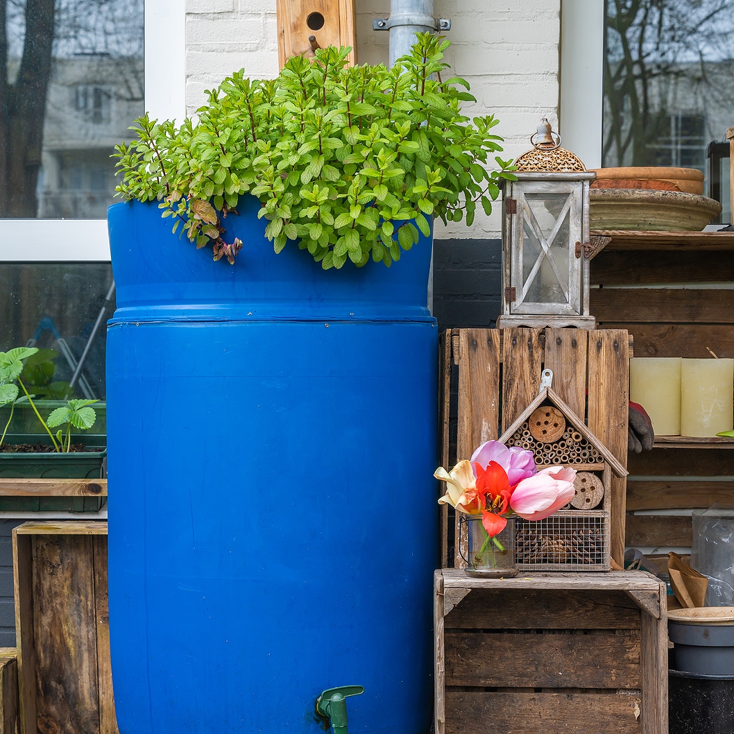 Water Tanks as Artistic Installations in Modern Spaces