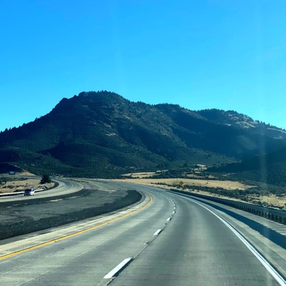 Art & Antique Shipping Services to the Pacific States
