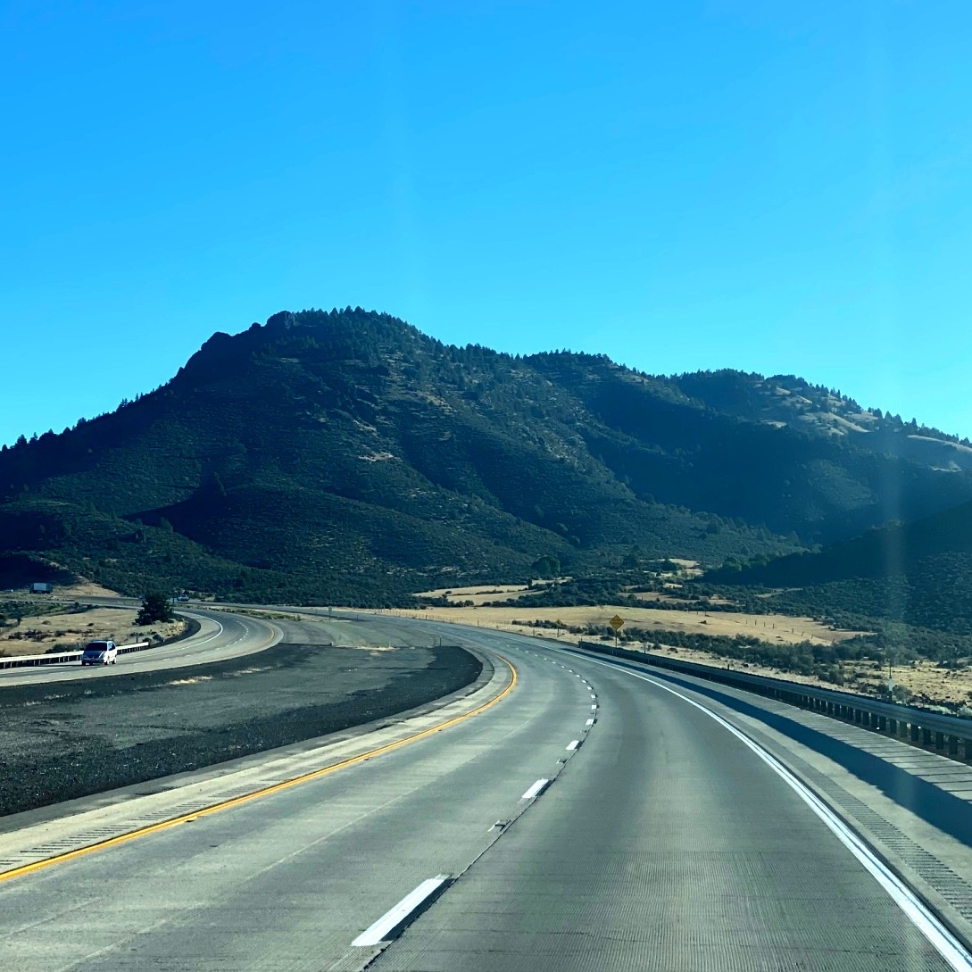 Art & Antique Shipping Services to the Pacific States