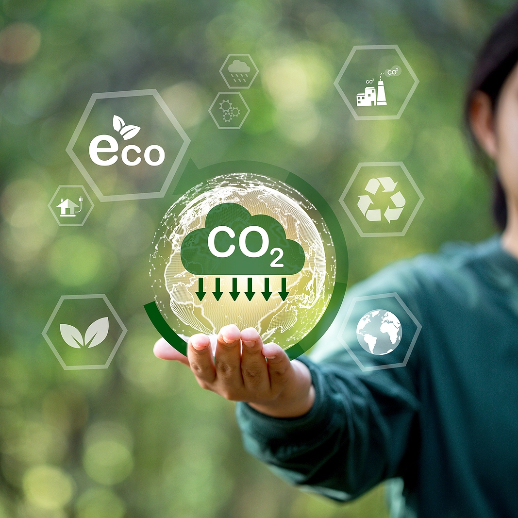Art Delivery Service: Carbon Footprint Reduction Strategies
