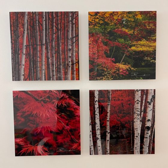 Art Gallery Installation: A Professional Touch by Fine Art Shippers