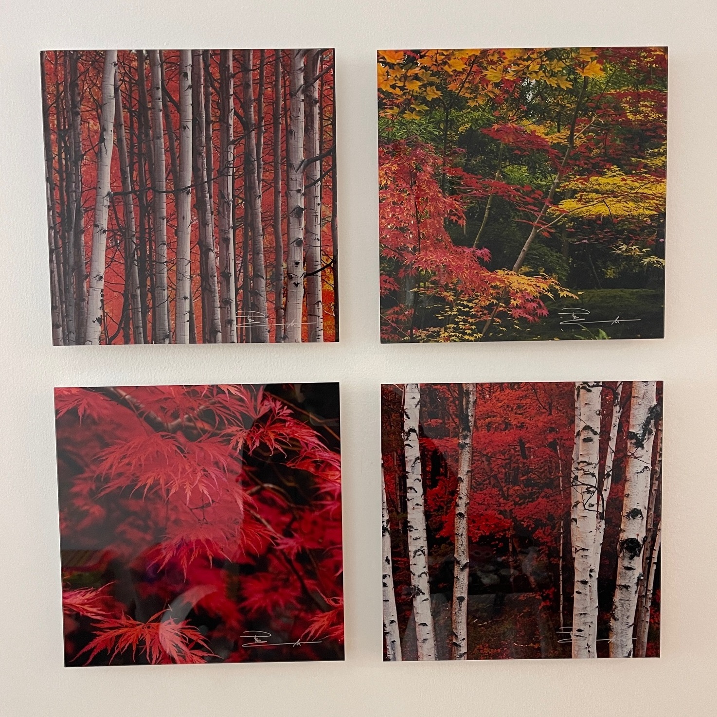 Art Gallery Installation: A Professional Touch by Fine Art Shippers