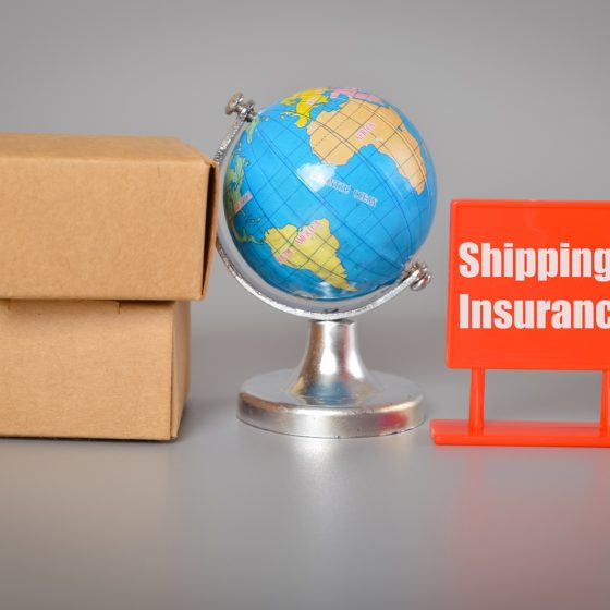 Art Shipping Insurance for International Transportation