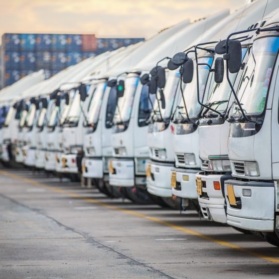 Why Work with Professional Art Transport Companies?