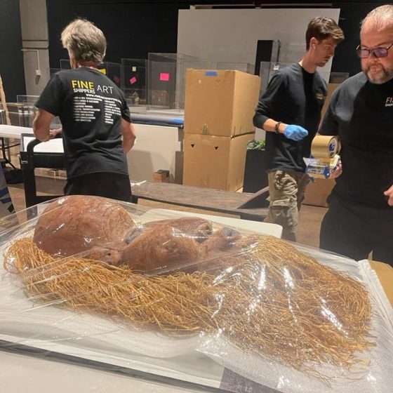 Behind the Scenes of Fine Art Handling: Fragile Art Management