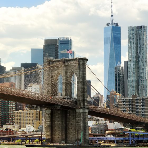 Fine Art Movers in NYC: Dispelling Popular Misconceptions