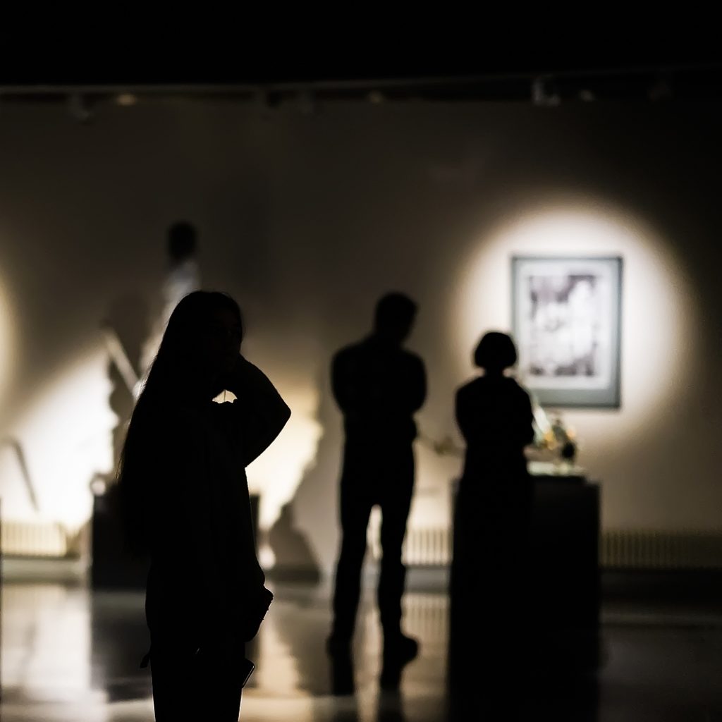 Stunning Textile Art Collections Management image