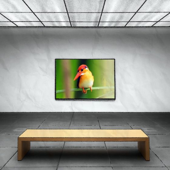 Here Are the Benefits of Using Our Climate-Controlled Artwork Storage