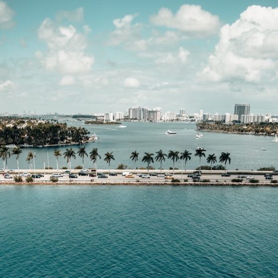 Are You Ready for Art Basel Miami Beach?