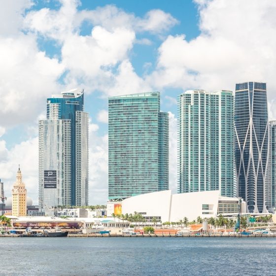 Art Wynwood: Your Winter Destination for World-Class Art