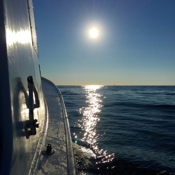 Art Shipping in New York: East Hampton