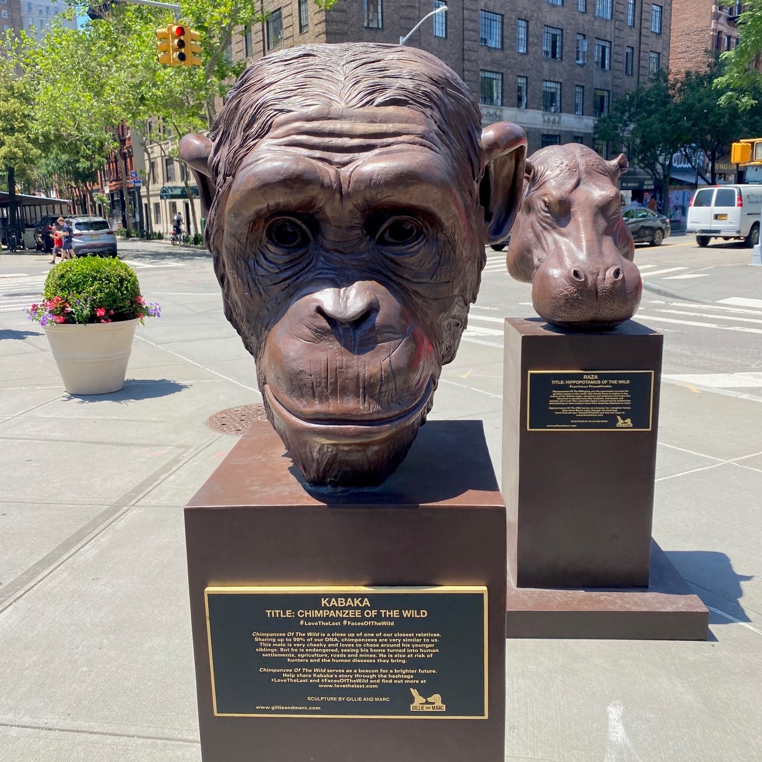 Faces of the Wild: New York Public Art by Gillie and Marc