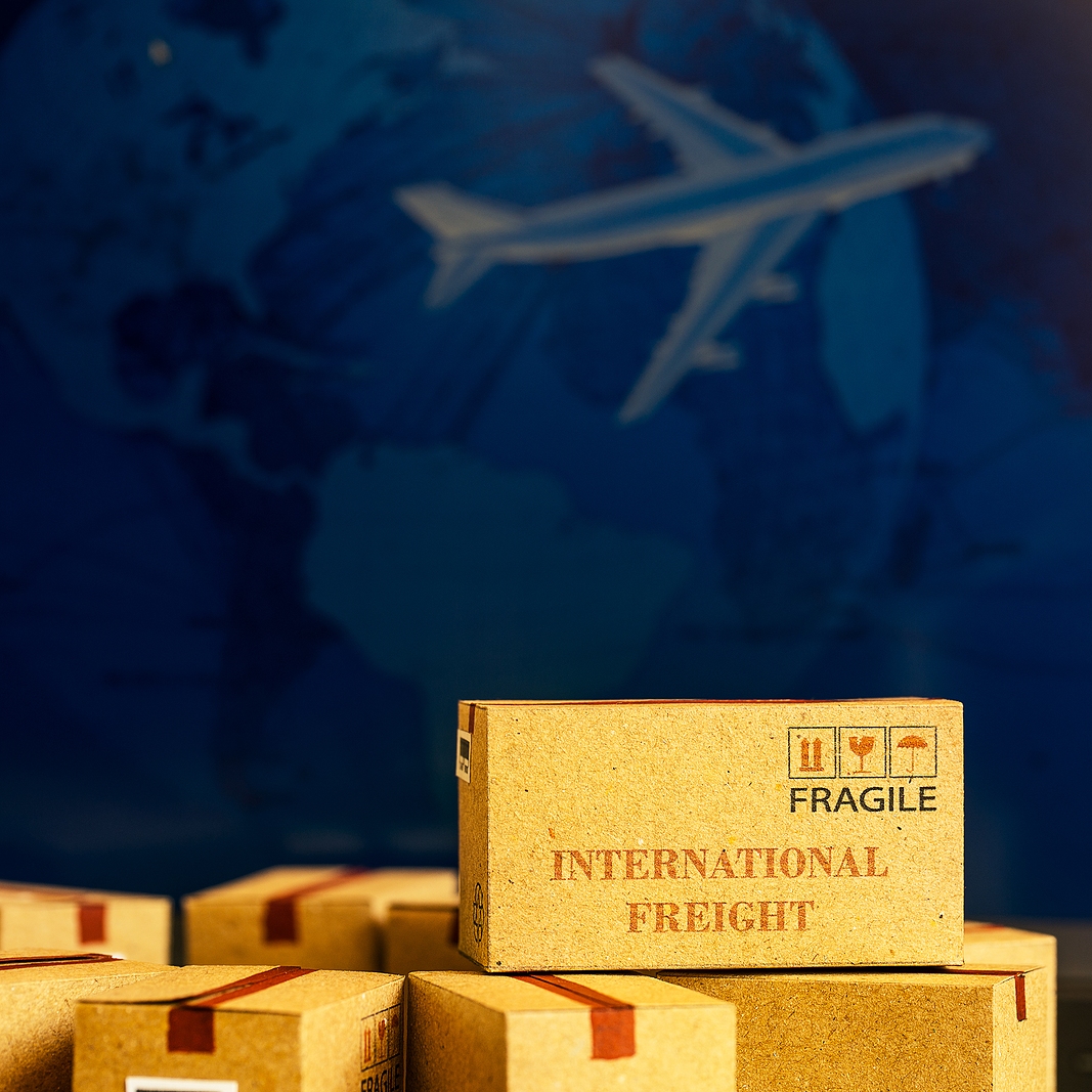 Elite Export Cargo Services – A Strategic Partner of Fine Art Shippers