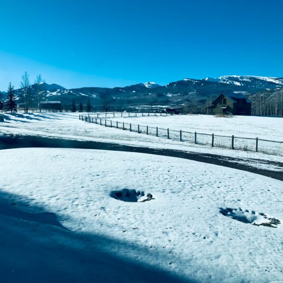 Fine Art Shippers Offers an Art Shuttle Service to Aspen