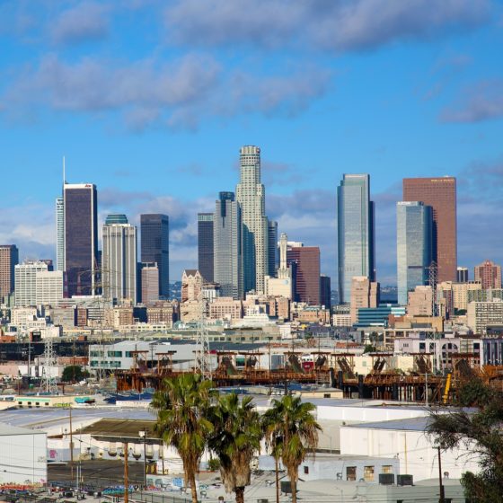 Fine Art Shipping Services in Los Angeles