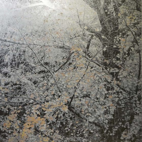 Masayoshi Nojo’s Under the Moonlight Exhibition at JD Malat Gallery