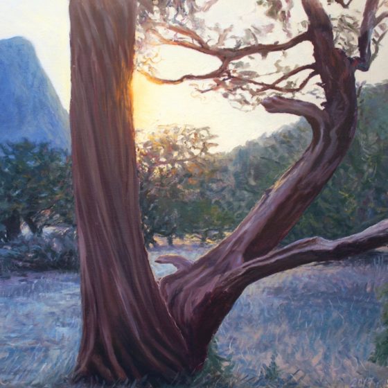 Nikolaj Shapovalov – A Self-Taught Artist with an Innate Talent