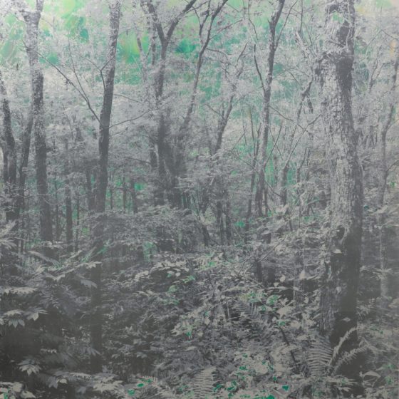 A Solo Exhibition of Masayoshi Nojo Opens at JD Malat Gallery in London