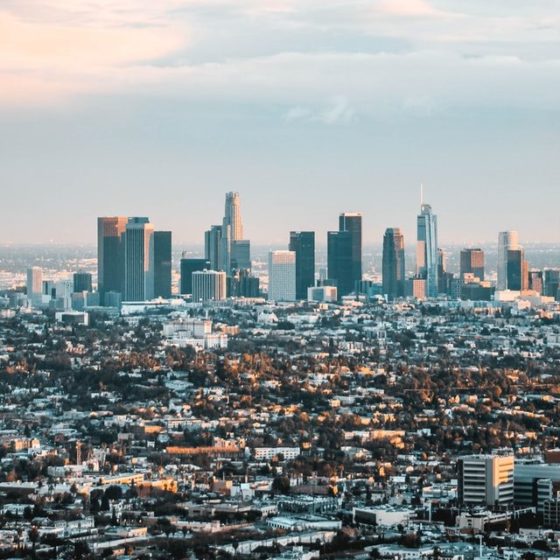 The Ultimate Checklist for Choosing the Best Art Shipper in LA