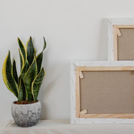 Storing Art at Home: 6 Unspoken Rules You Shouldn’t Break in 2022