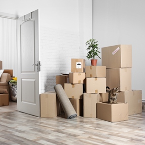 Shipping and Packing Companies in NYC