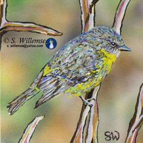 Australian Birds in Art by Susan Willemse