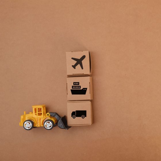 What to Consider When Choosing a Perfect Fine Art Transport Option