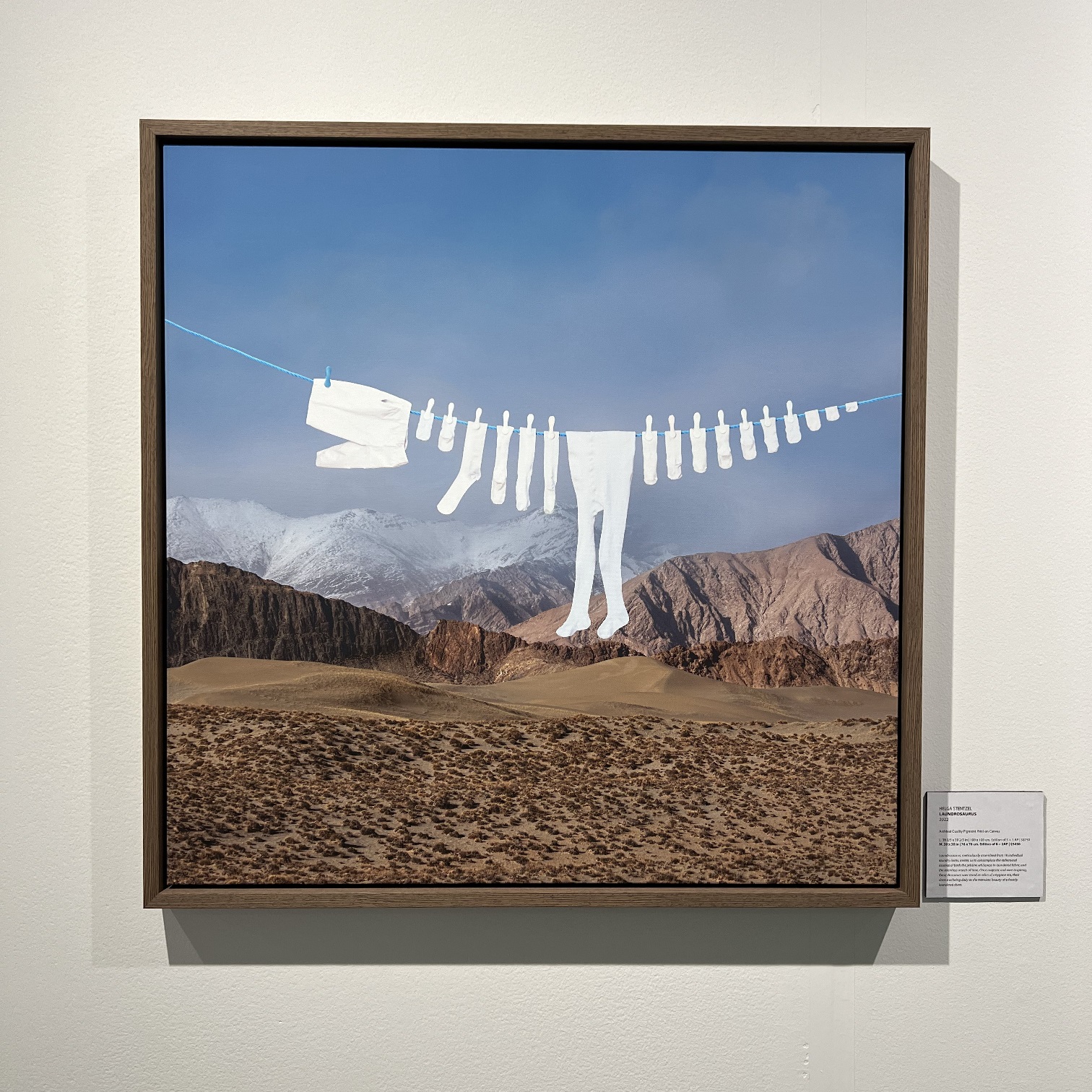 Whimsical Photography Art by Helga Stentzel at SCOPE Art Show 2023