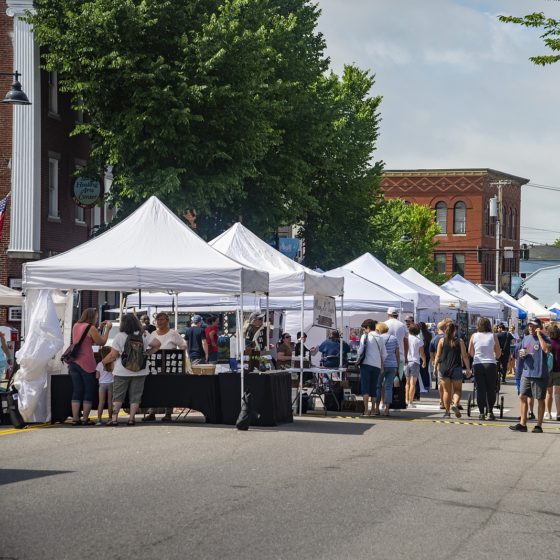 The Best Materials for Durable and Weather-Resistant Commercial Canopies