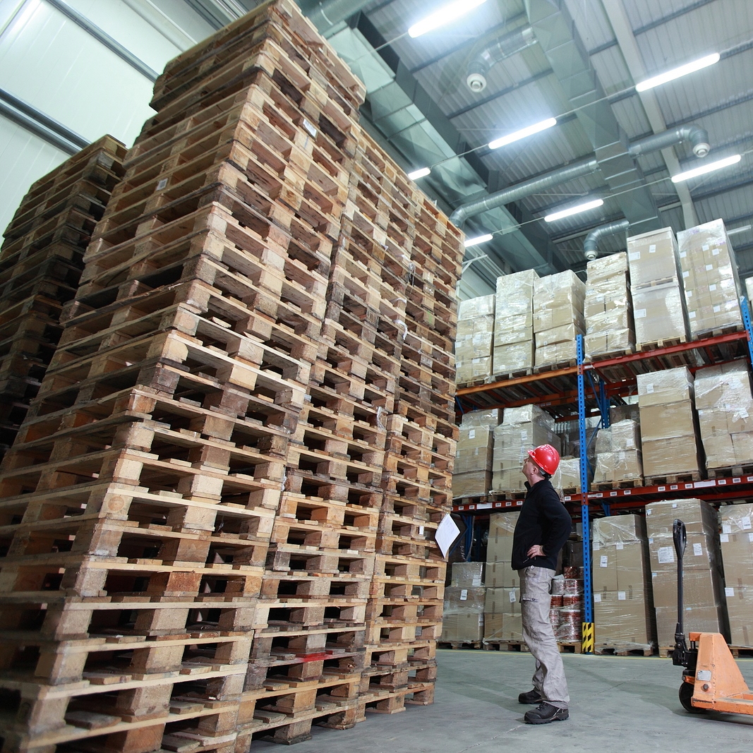 Pallet Standards in the USA: From Regulations to Industry Requirements