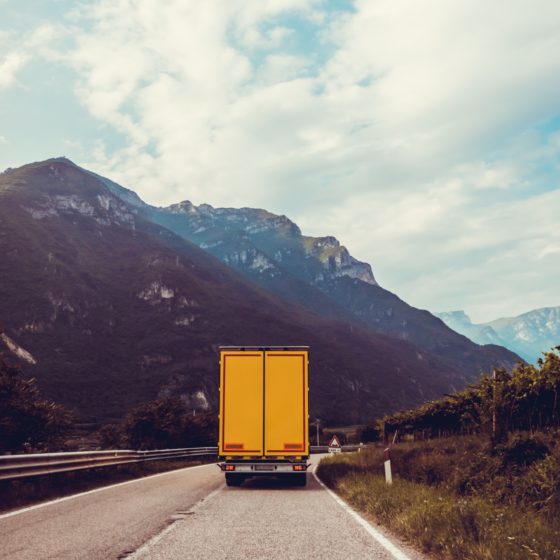 Expert Tips for Moving Art with Professional Vehicles