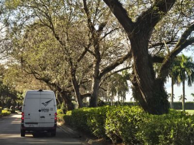 Cost-Effective Logistics, or Art Shuttle Services for Galleries