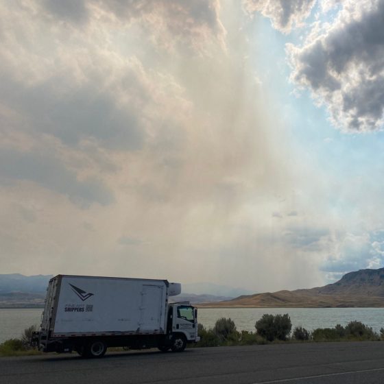 Inside an Art Collection Shuttle: Vital Security Measures and Controls