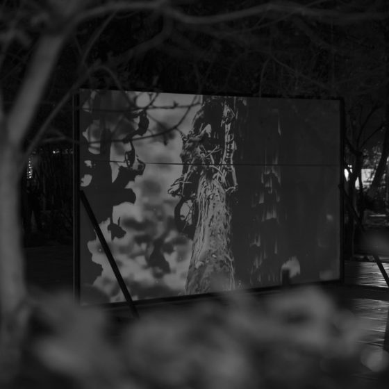 Vol.05: Hidden Geometry & Glitch Art by Platform 101 Is Coming to an End