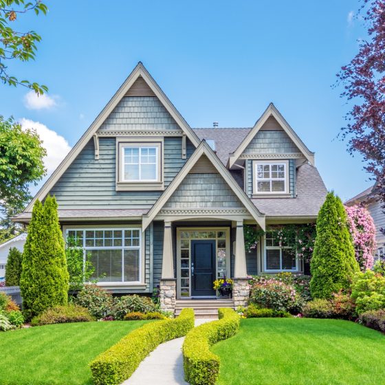How to Move Trees and Shrubs to a New Home