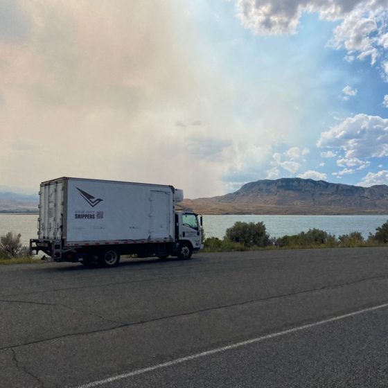 Artwork Delivery Shuttle, the Heart of Interstate Art Logistics